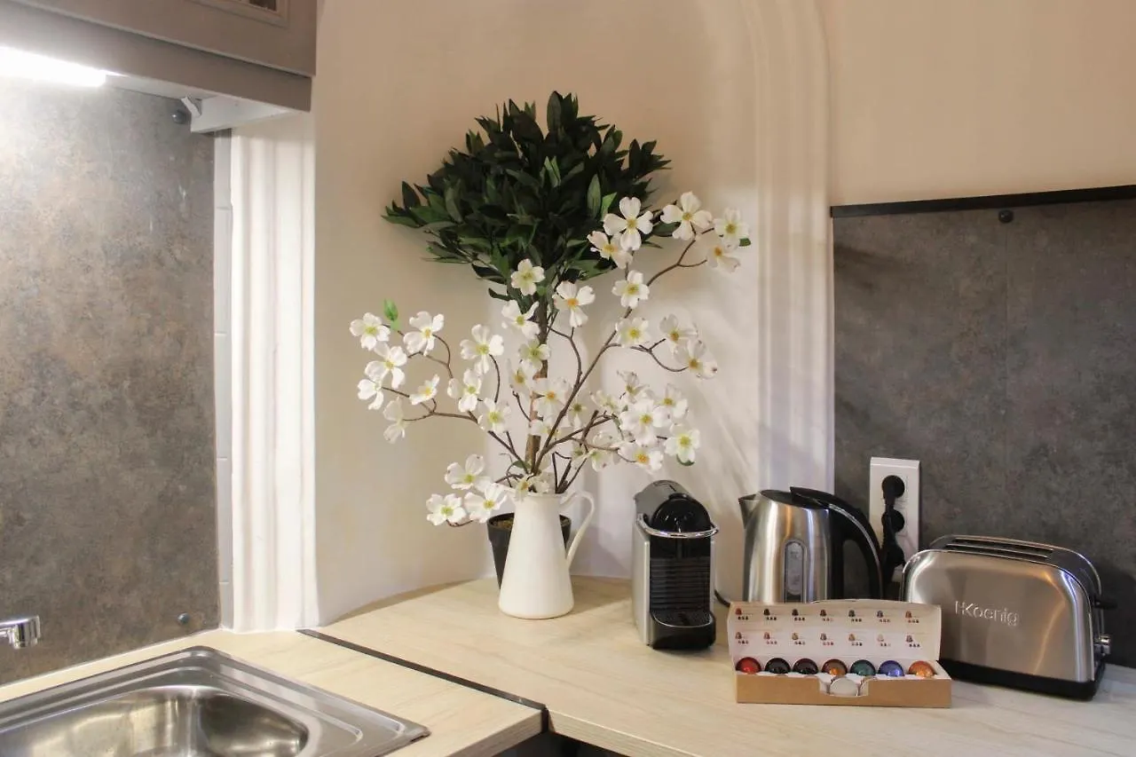 Cozy And Practical Cocoon At The Heart Of Paris Apartment France